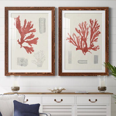 Cadre vintage rétro Coral Study III de qualité supérieure - prêt à être accroché