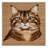 Washable Asian Semi longhair Cats Area Rug-1804770374