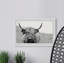 Mountain Cow - Single Picture Frame Print-996370162