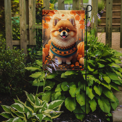 Double Sided 15.5'' H x 11.25'' W Polyester Garden Flag