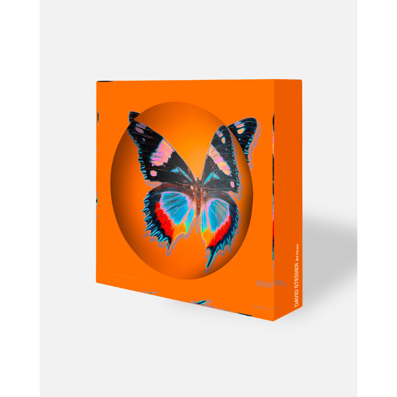 Spiritueux orange