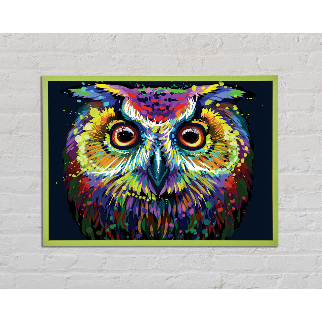 Masa The Colourful Vivid Owl - Einzelner Bilderrahmen Kunstdrucke