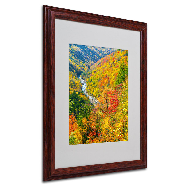 « valley » par cateyes mat, reproduction de photo encadrée, H 20 po x l 16 po x P 0,5 po, Brun