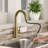 Pull Down Single Handle Kitchen Faucet with Accessories-59881654