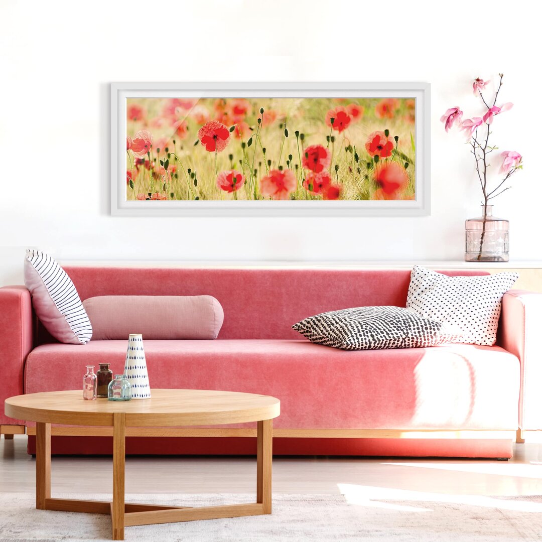 Gerahmtes Poster Summer Poppies