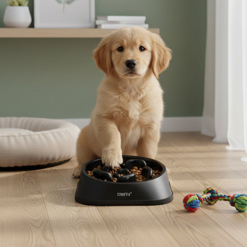 Bol pour chien à alimentation lente, Noir