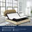 Shartlesville 15-inch Adjustable Bed Base With Head and Foot Incline, Remote, Easy Assembly-1061185517
