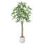 Adcock Artificial Ficus Tree with Round White Planter, Pre Potted Faux Money Tree for Home Decor-298643296