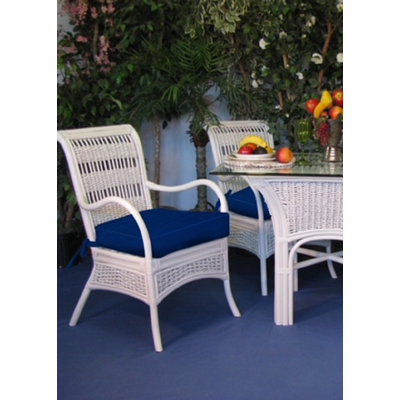 Regatta 20'' H Upholstered Armchair