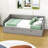 Eftimie Twin Size 2 Drawers Daybed with Trundle-1912511290