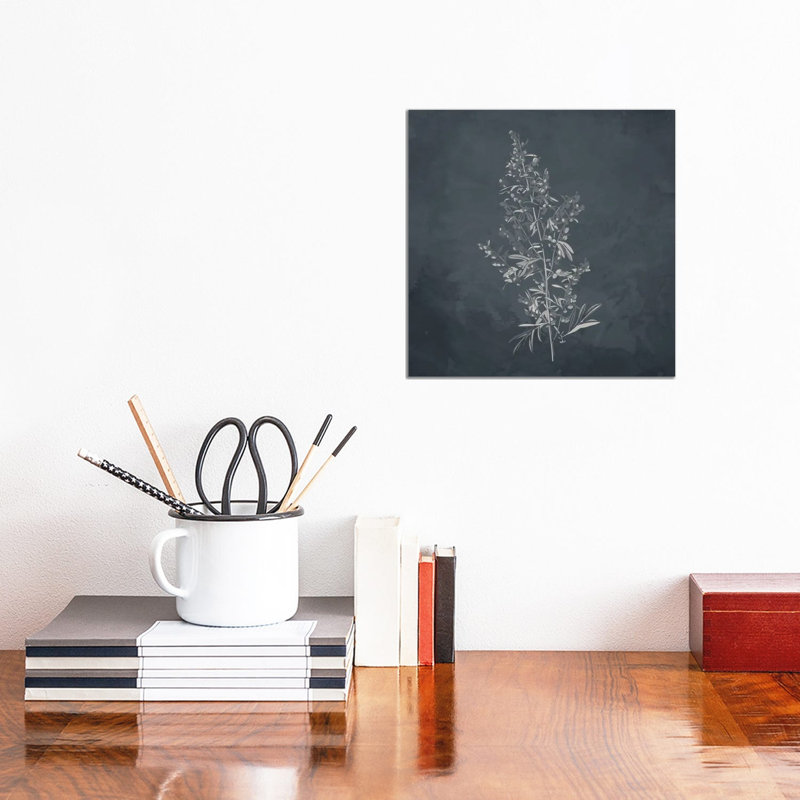 Plant II by Kimberly Allen - Wrapped Canvas Painting, 30.48 cm H x 30.48 cm W