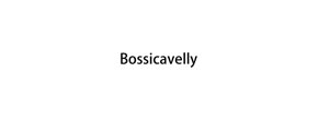 Logo Bossicavelly