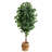 72'' Faux Ficus Tree in Burlap, Cotton Planter