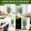 Plant-243702509