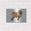 «Chow Chow» par Harro Maass-2064251931