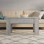 Hutt Lift Top Four Leg Coffee Table with Storage-653182853-668619280