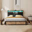 Storage Bed-1570882138