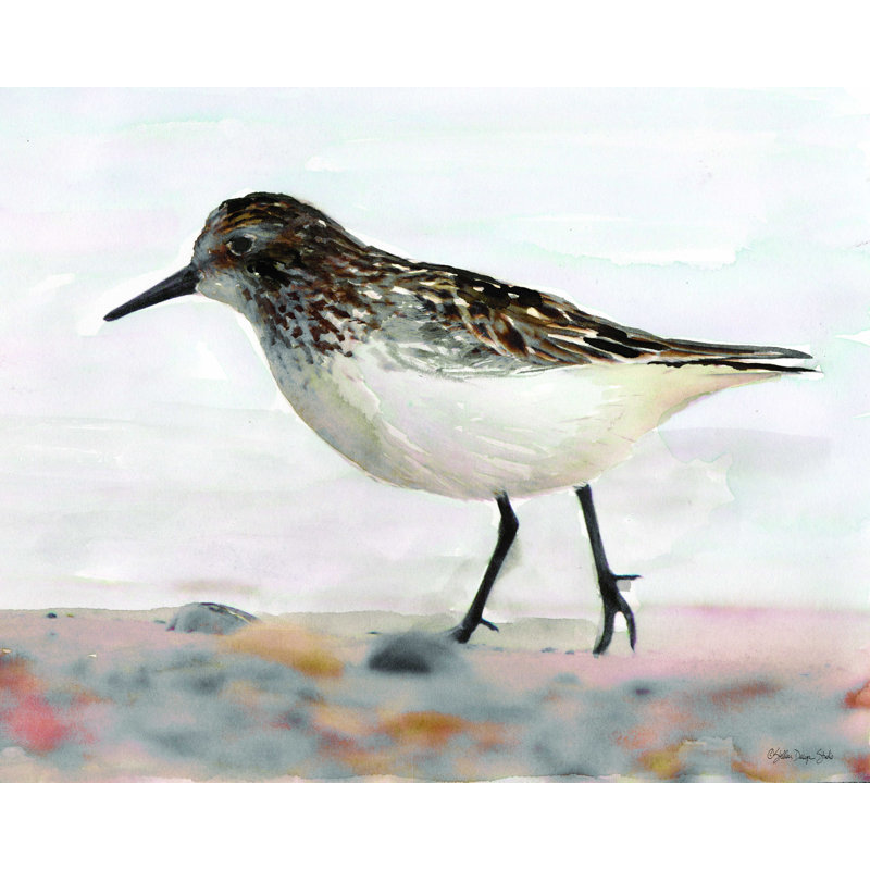 Sandpiper 2 - peinture sur toile tendue, H 12 po x l 16 po
