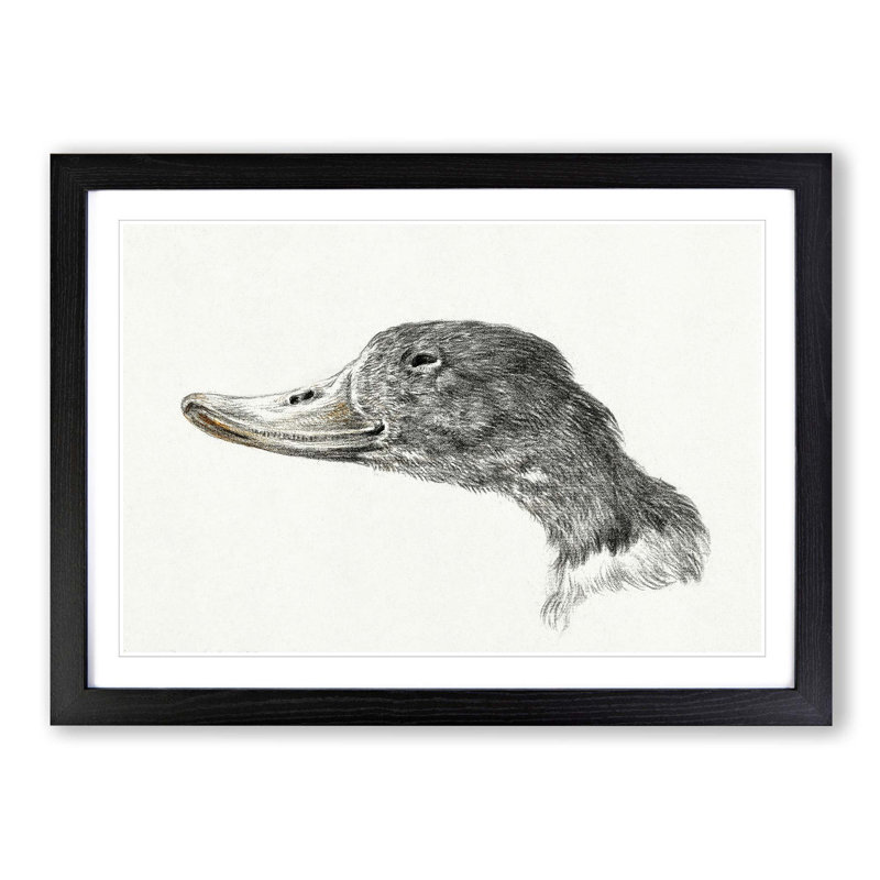 Head of a Duck by Jean Bernard - Framed Print, Black Framed, 36cm H x 48cm W x 2cm D