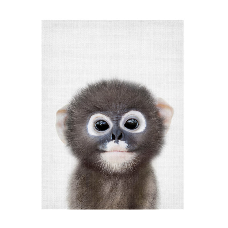 «Peekaboo Baby Monkey» sur toile par Lola Peacock, H 47 po x l 35 po x P 2 po