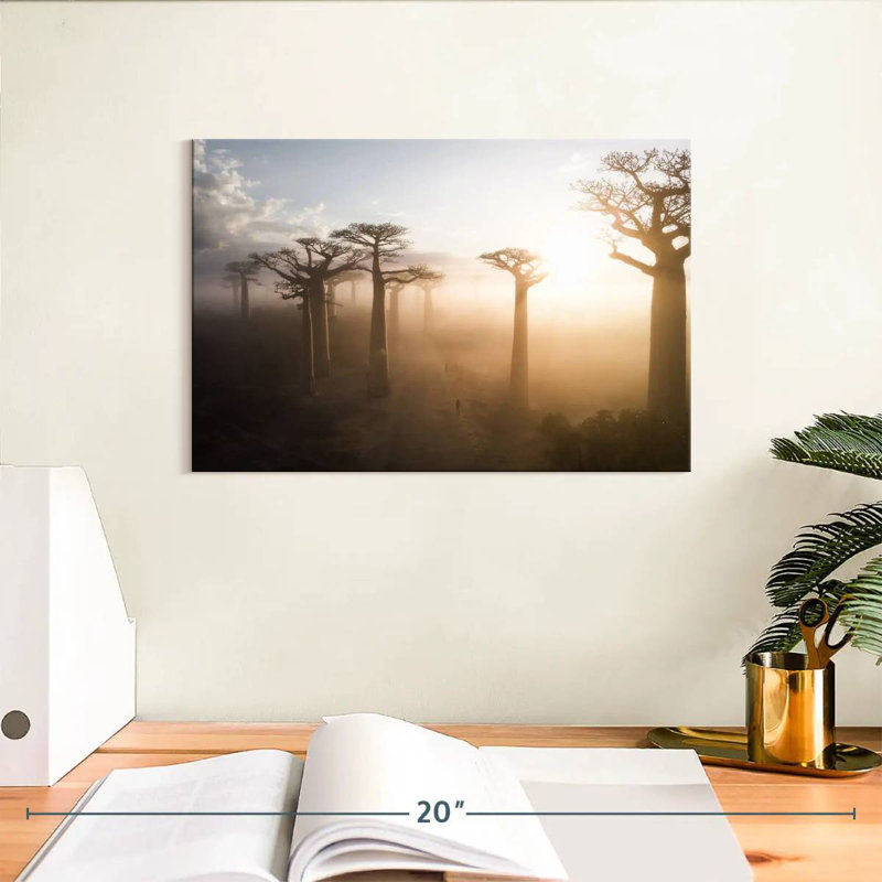 Harnek Baobab Avenue Madagascar, H 8 po x l 12 po