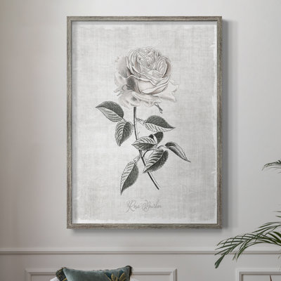 «Vintage Botanical I», reproduction encadrée - bois massif 47083