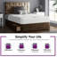 New Fairfield Upholstered Divan Bed-223923436-223934046-223934061