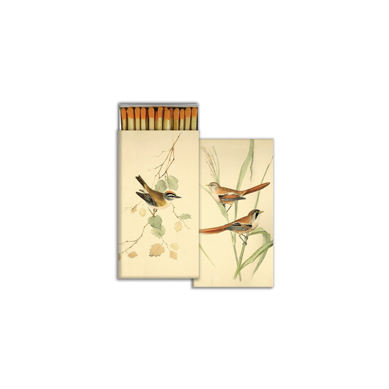 Allumettes - oiseaux anglais