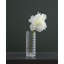 Tige de pivoine House of Hampton®-428404167-423769626
