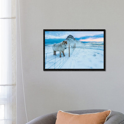 Kirkjufell Morn by David Gardiner - Print on Canvas