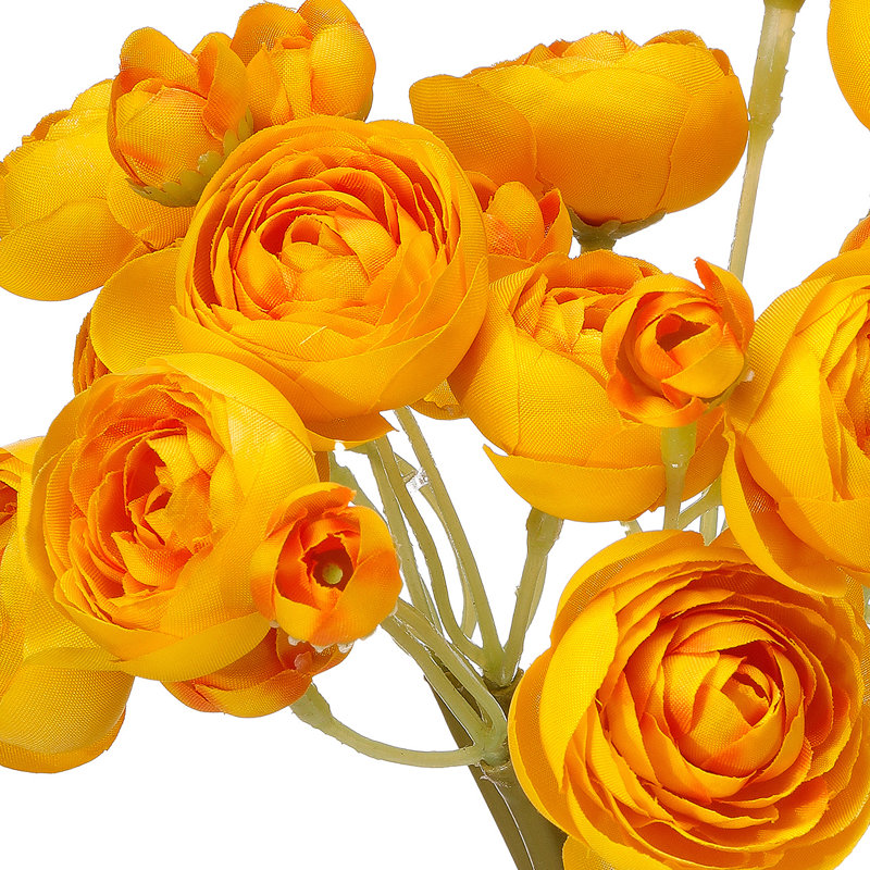Ensemble de jardin Renoncule de jardin X6 11 po , Jaune