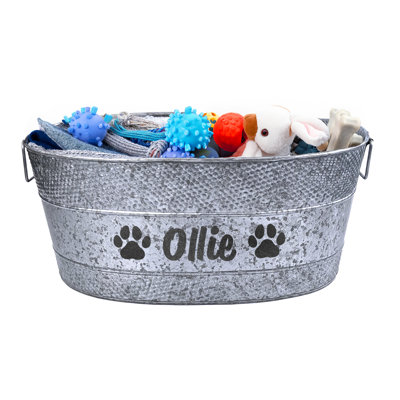 Trinx XL Personalized Metal Dog Toy Storage Bin