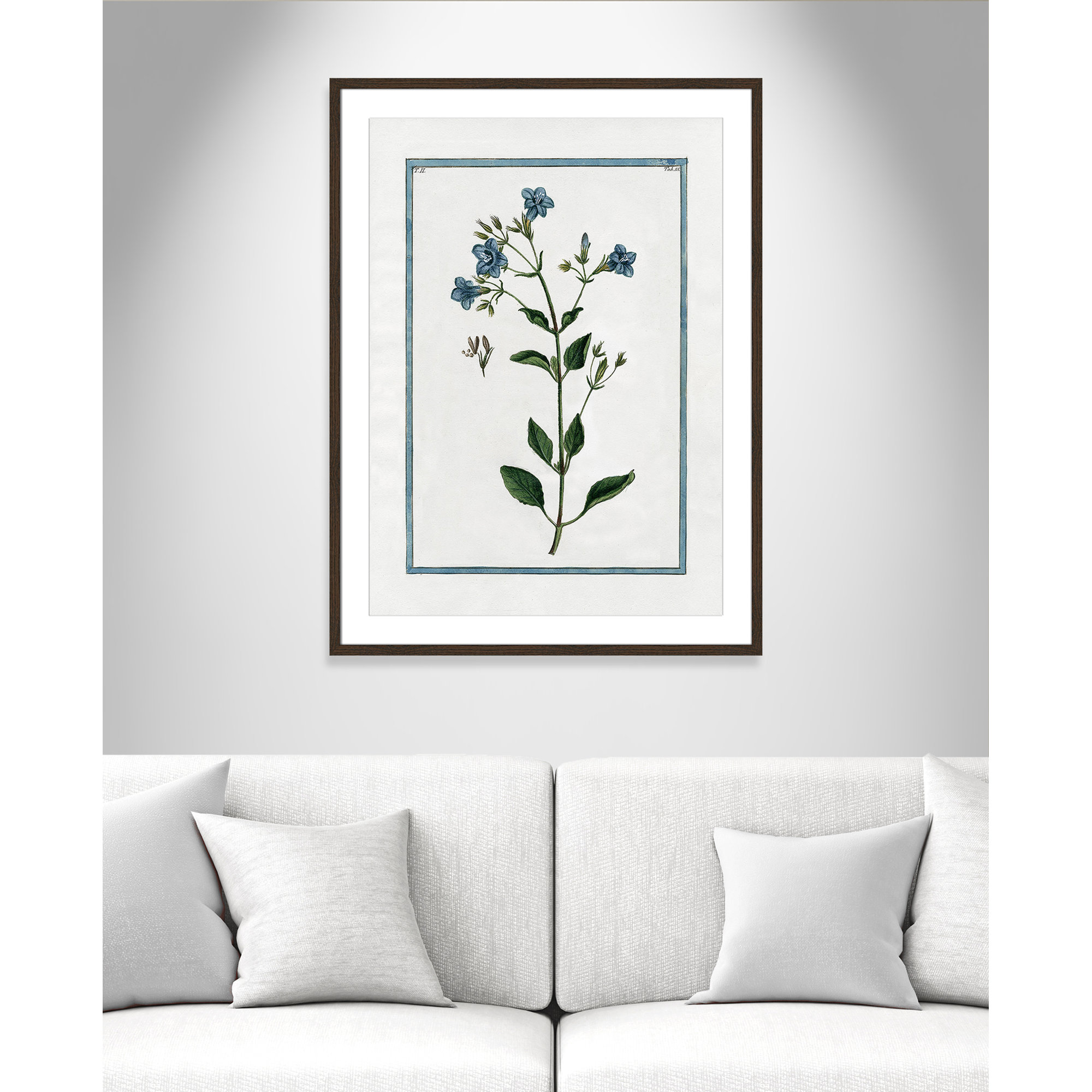 Shabby Elegance Botanical II - Framed Art, 25.5" W x 35.5" H, Walnut Framed