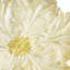 Tulip Centerpiece-1868603511