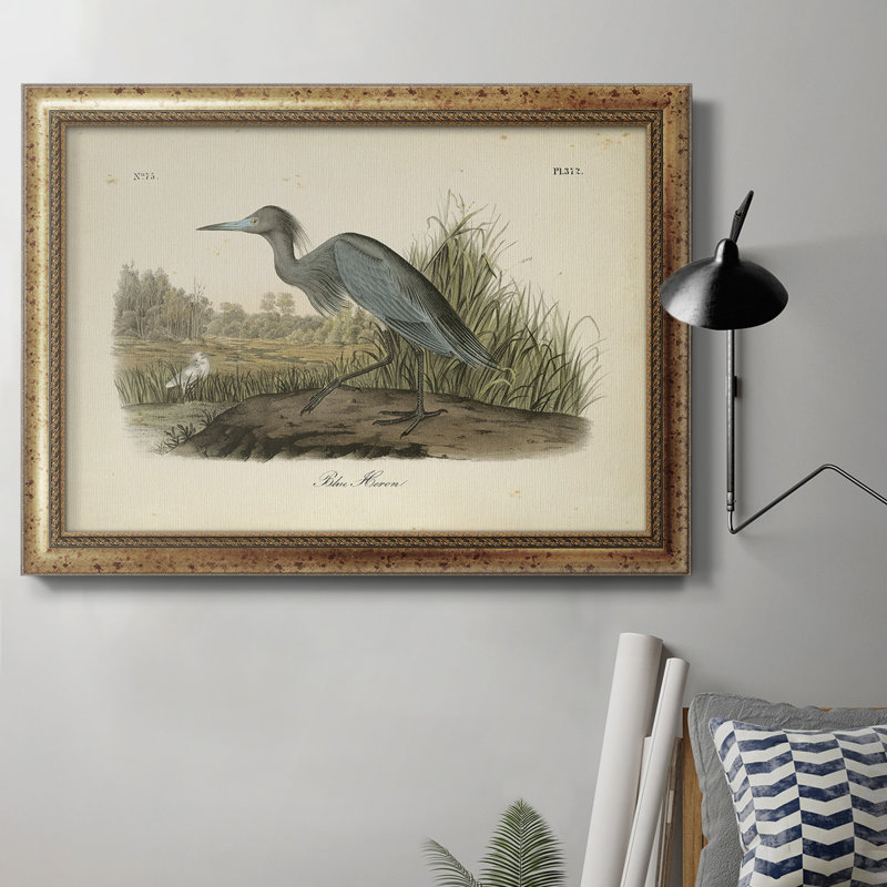 Audubons Blue Heron - cadre photo, impression sur toile