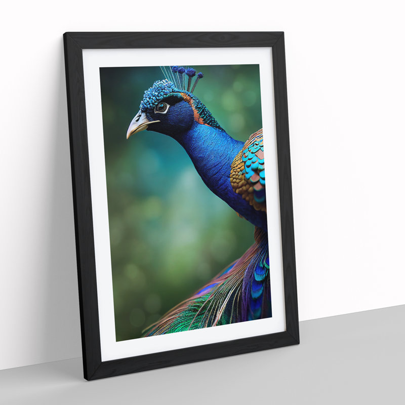 Captivating Peacock - Single Picture Frame Print, Black Framed, 46cm H x 34cm W x 2cm D