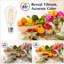 6-Pack ST64 Dimmable LED Edison Light Bulbs, 6W 60W Equivalent, E26 Base, 2700K Warm White