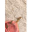 Arletha Doormat