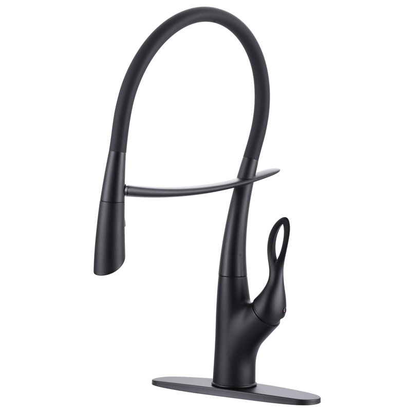 Magnetic Single-Handle Pull-Out Sprayer Kitchen Faucet With Deckplate And Water Supply Line, Matte Black