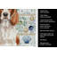 Serviette de cuisine Welsh Springer Spaniel-1209194419
