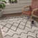 Boyland Shag Hand Tufted Performance Southwestern Rug
