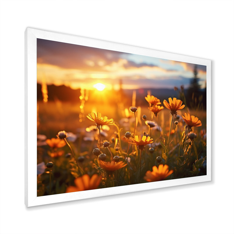 «Yellow Wildflowers Field with Sunset I», reproduction d'art sur toile, H 24 po x l 32 po x P 1 po, Cadre simple blanc