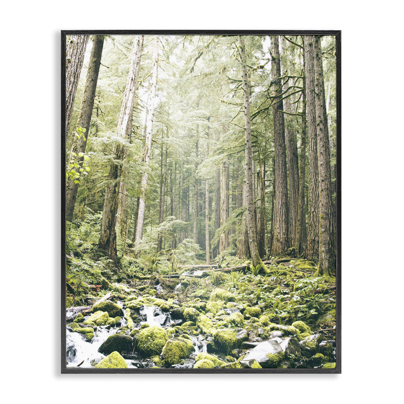Estampe numérique verdoyante Verdant Forest Glow, conçue par Leah Straatsma, H 14 po x l 11 po, Giclée encadrée noir minuit