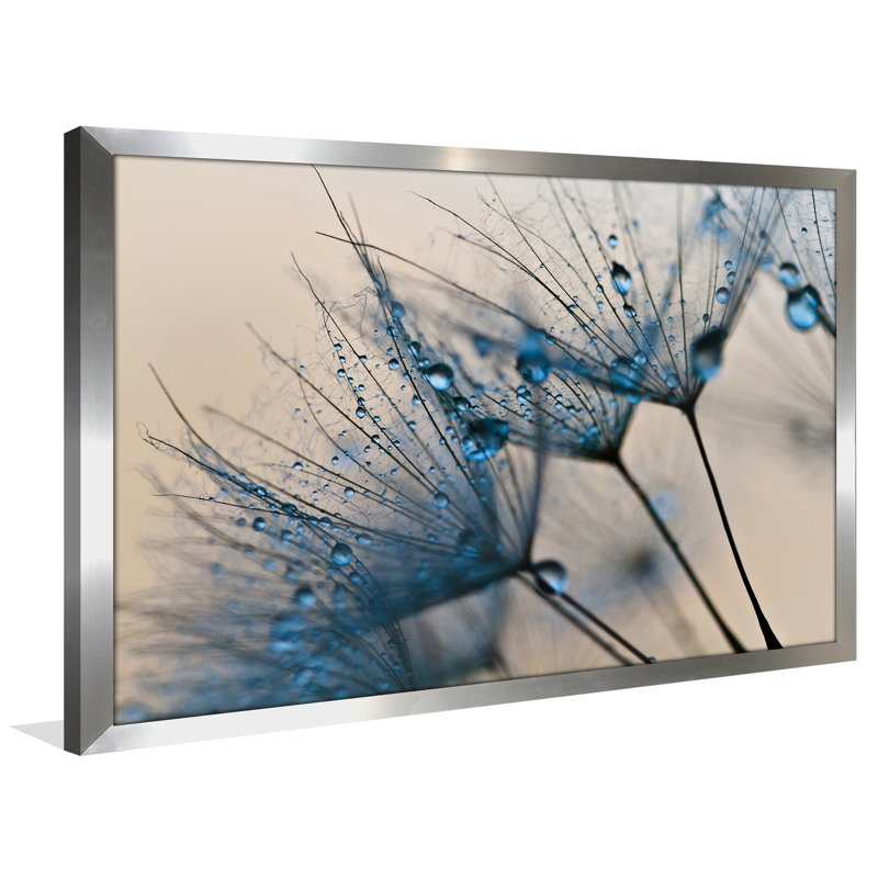 « fleur water gouttelettes 2 », reproduction de photo encadrée, H 27,5 po x l 39,5 po x P 0,75 po