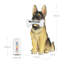 Statuette berger allemand Exhart
