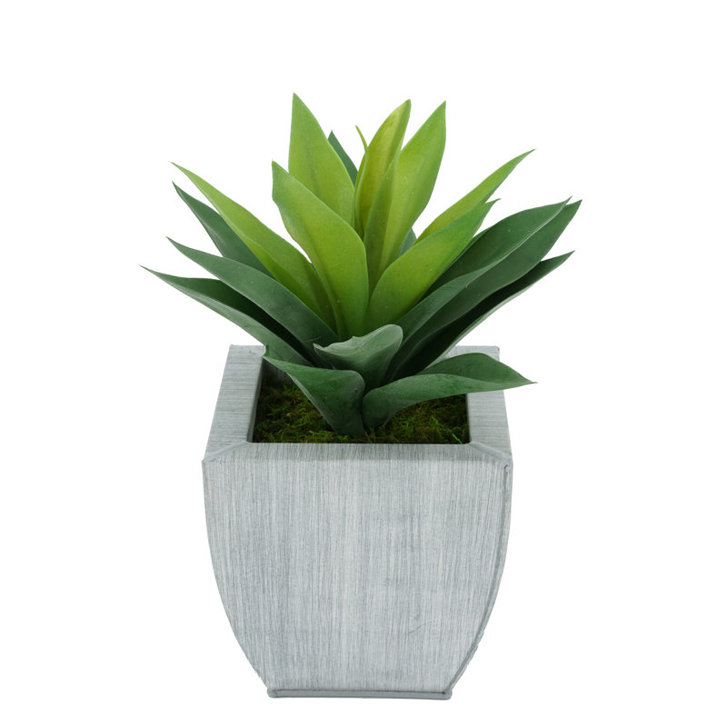 Plante grasse artificielle 7 po en pot, Ferme