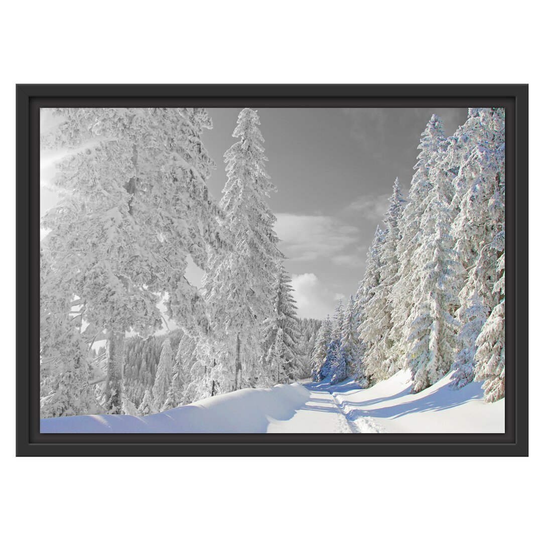 Gerahmtes Wandbild Winterlandschaft mit Bäumen