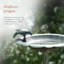 Plastic Pedestal Birdbath