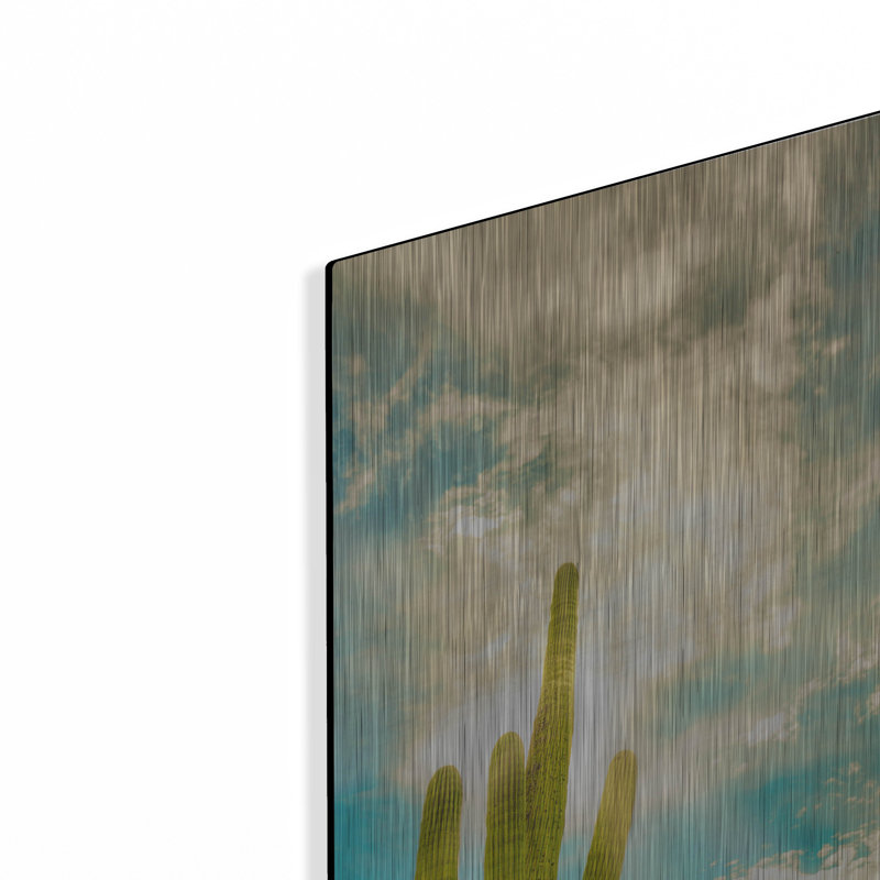 "Sun Burst Saguaro" par Mark A Paulda, H 16 po x l 12 po