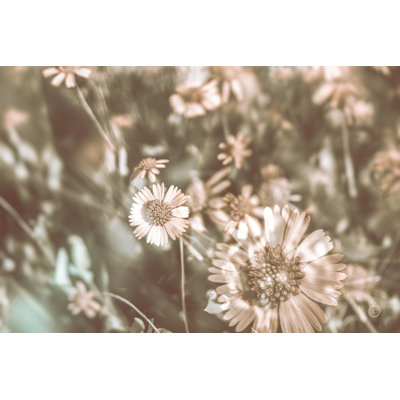 Flower Power